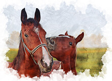Valentine Horses Oil Paint Illustration