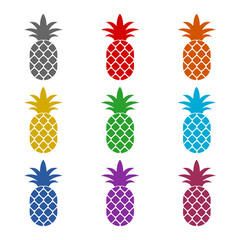 Canvas Print - Pineapple fruit icon isolated on white background. Set icons colorful