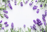 Fototapeta  - Flowers composition, frame made of lavender flowers on pastel background.