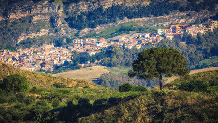 Sticker - Sicilian Spring Countryside Hill Landscape