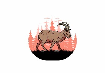 Wall Mural - Hairy mountain goat with long horns