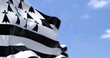 Rear view of the Brittany flag waving in the wind on a clear day.