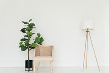 Atmospheric Cozy Shot Of Office Interior With Chair, Plant And Lamp In Minimalistic Setting