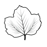 Fototapeta Big Ben - Contour drawing of a tree leaf