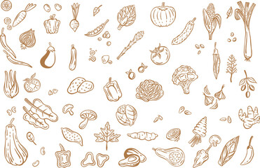 Wall Mural - Vegetables collection hand drawn - Out line