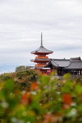 Wall Mural - Pagoda of Kiyomizu-dera Temple in Kyoto