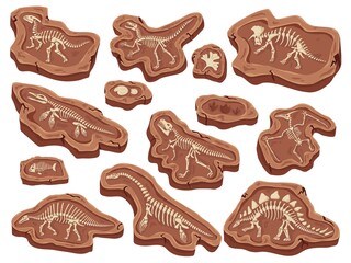 Cartoon fossils. Dinosaurs fossilization, ancient fish bones and ammonite shell. Paleontology digging, animal skeleton museum vector illustration