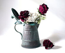 Dried Roses In An Old Oxidized Copper Jug