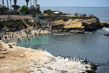 Wall Mural - La Jolla Cove, Sand Diego, California Looking at the La Jolla Cove Public Beach with Many People enjoying the Water