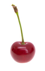 Canvas Print - cherry isolated