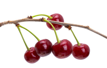 Wall Mural - cherry isolated