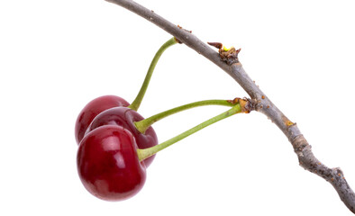 Canvas Print - cherry isolated