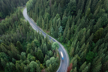 Wall Mural - Forest road top view, cars in motion