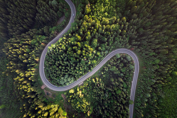 Wall Mural - Road top view, summer green forest