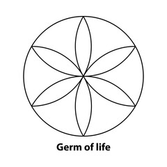 Wall Mural - SACRED GEOMETRY GERM OF LIFE .VECTOR