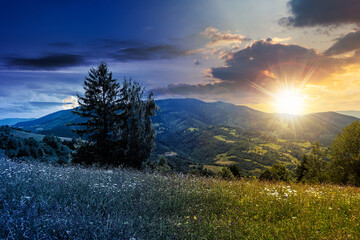 tree on a grassy rural field. day and night time change concept above scenic summer landscape with meadow in mountains. countryside scenery with moon and sun. beautiful abstract nature background