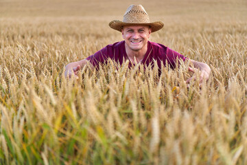 Wall Mural - Farmer with straw hat in a wheat field