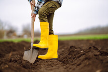 Female Worker Digs Soil With Shovel In The Vegetable Garden. Agriculture And Tough Work Concept