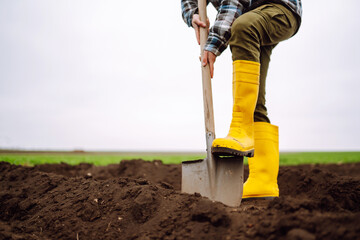 Female Worker digs soil with shovel in the vegetable garden. Agriculture and tough work concept