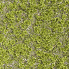 3d illustration of grass background, texture nature top view