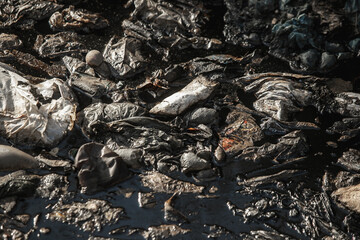 Old garbage landfill near a large city, reclamation