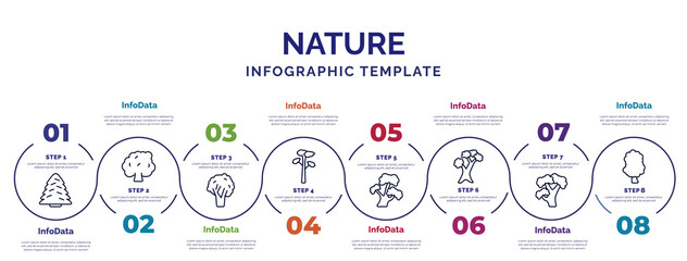 Sticker - infographic template with icons and 8 options or steps. infographic for nature concept. included white spruce tree, black walnut tree, pitch pine tree, bitternut hickory scarlet oak pignut hickory