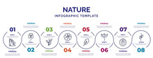 Infographic Template With Icons And 8 Options Or Steps. Infographic For Nature Concept. Included Mountain Pse, Pinnation, Hibiscus, Oak Leaf, Cuspicate, Human Brian, Perfoliate Icons.