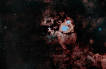 Wall Mural - Cosmic Fishing - the Fish Head Nebula