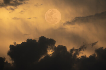 Wall Mural - full moon on the sky with clouds.