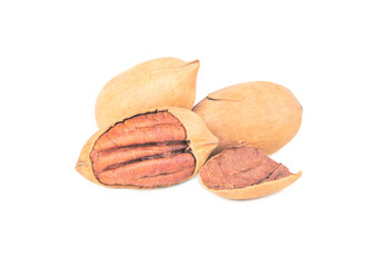 Wall Mural - Three pecans in shell