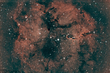 Wall Mural - Elephants' Trunk Nebula