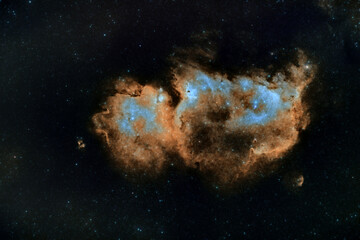Wall Mural - Soul Nebula