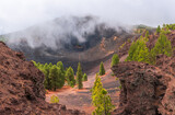 Caminando entre pinos y volcanes en La Palma, Canarias