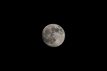 Wall Mural - full moon in may night sky