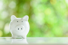 Minor Children Savings Account, Financial Concept : White Ceramic Piggy Bank On A Table, Depicts A Type Of Saving Account Deposit For Child Education, Allow Deposit Money From Kids For Brighter Future