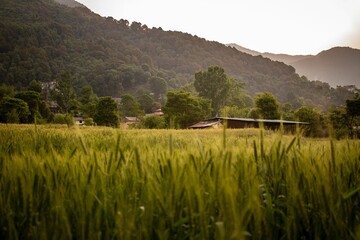 Scenic view of a green field surrounded with mountains and trees