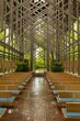 One of the best religious buildings is the Thorncrown Chapel. A chapel in forest reserve in Arkansas