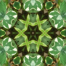 Beautiful Trippy Kaleidoscopic Floral Pattern In Green, Brown And Beige Colors