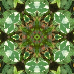 Wall Mural - Beautiful trippy kaleidoscopic floral pattern in green, brown and beige colors