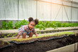 Portrait of African children plant seedlings in greenhouse