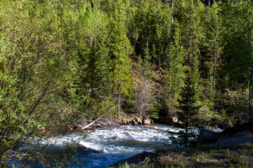 Canvas Print - Whitewater rapids on the Snake River in White River National Forest in Colorado