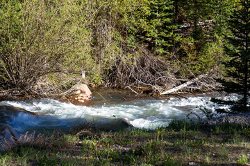 Sticker - Whitewater rapids on the Snake River in White River National Forest in Colorado