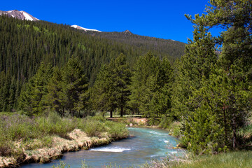 Wall Mural - The Snake River flows through White River National Forest in Colorado