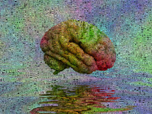 Colorful Human's Brain