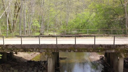 Wall Mural - Flying along small river and over old, rusty rural bridge surrounded by forest