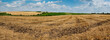 Panoramic view, stubble of wheat field, grain harvest, hills on a background of blue sky with clouds. The concept of agricultural hills landscapes.