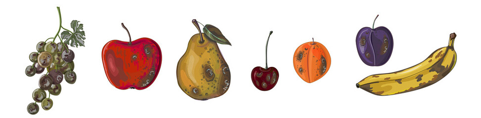 Wall Mural - Set of rotten fruit-apple, pear, plum, apricot, cherry, grape, and banana. Fruit in cartoon style isolated on white background. Vector