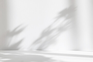 Wall Mural - abstract white studio background for product presentation. empty room with shadows of window and flo