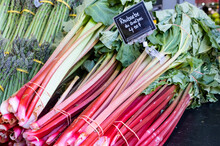 Bundles Of Rhubarb And Asparagus For Sale In A French Market