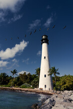 Birds Flying Over Beach Florida Lighthouse. Cape Florida Lighthouse, Key Biscayne, Miami, Florida, USA. Front View.